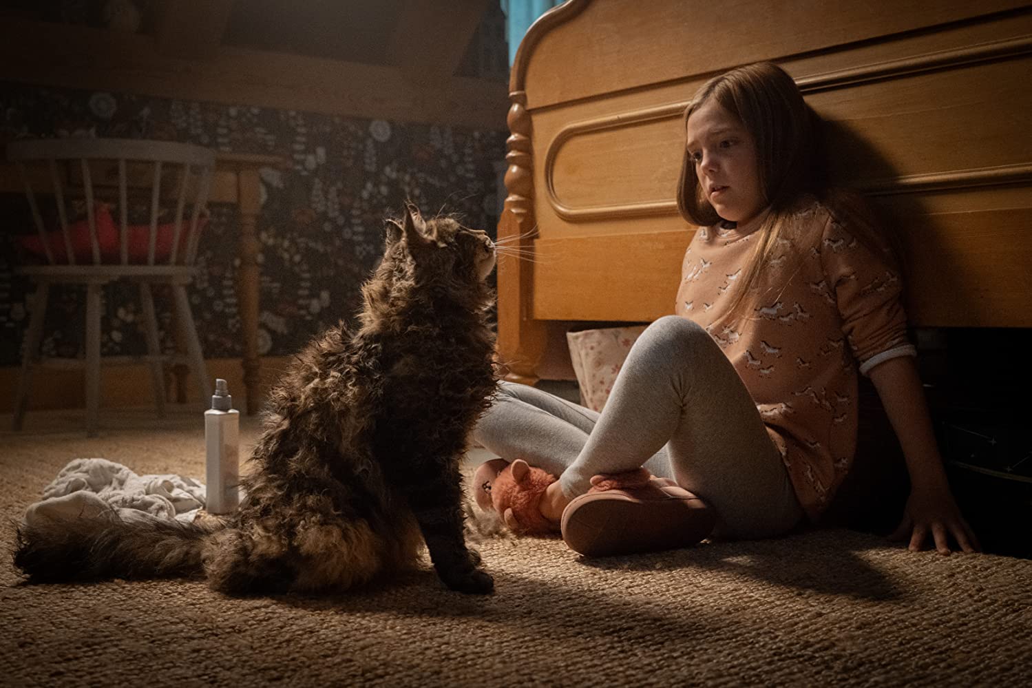 Pet Sematary - Image 4